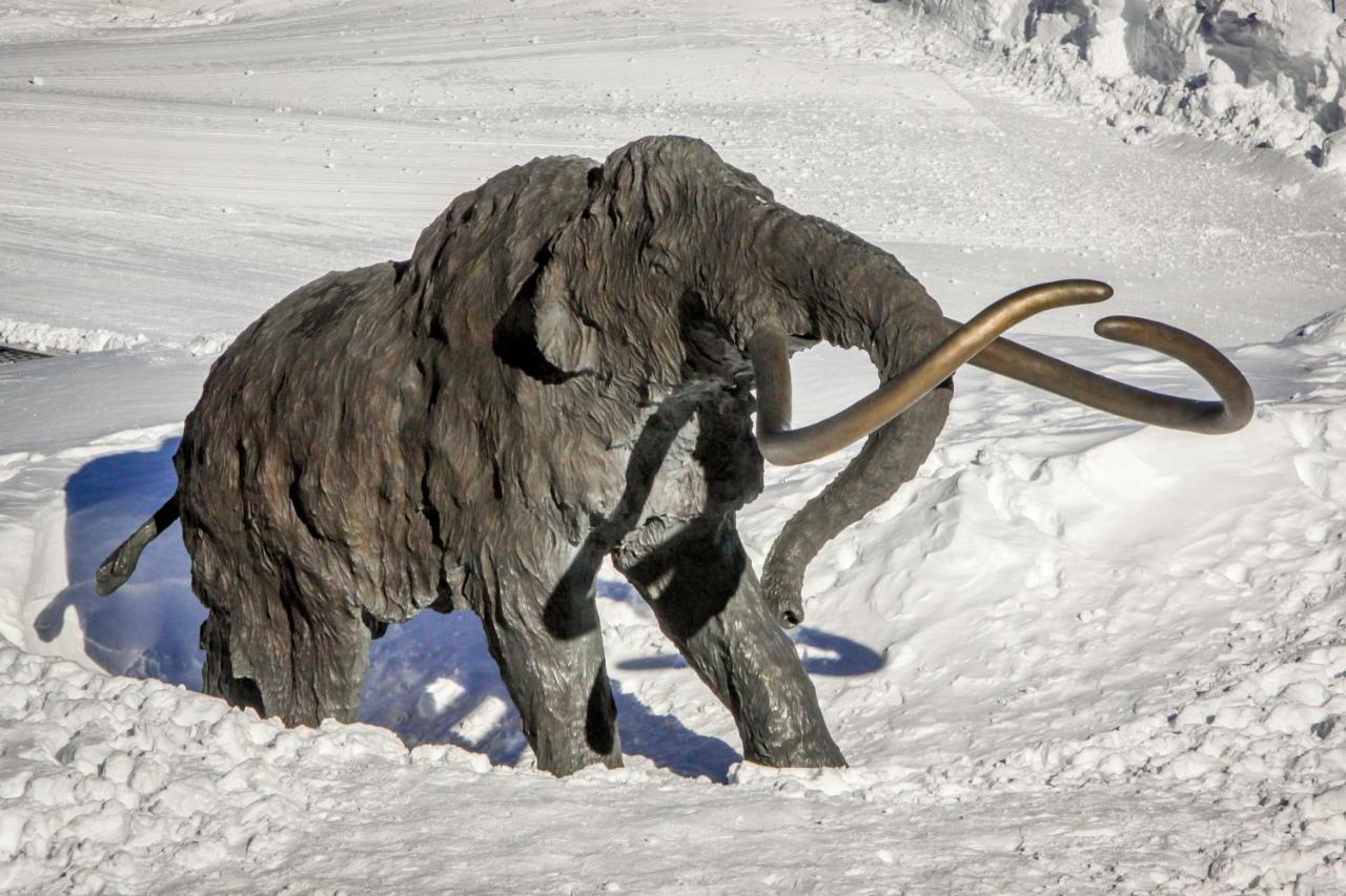 Ferienwohnung Sierra Megeve Mammoth Lakes Exterior foto